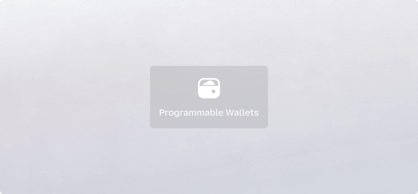 Programmable Wallets